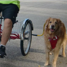 Adult Trike Adapter